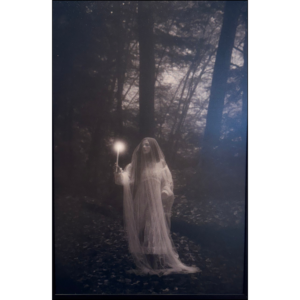 light seeker