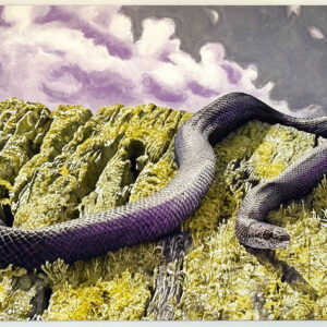 Black Snake on De-Creation