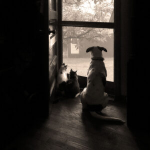 Waiting For a Friend