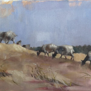 Landscape with sheep