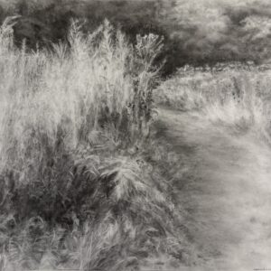 5. The Forest's Edge 1