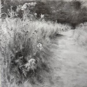 6. The Forest's Edge 2