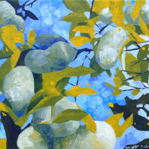 Looking into a Pawpaw Tree